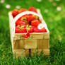 strawberry pleasure.