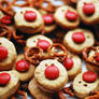 Merry Christmas Reindeers