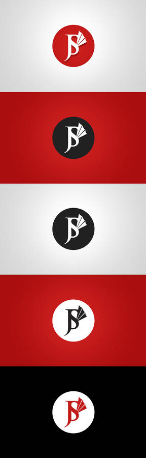Jakub Spitzer Logo design and variations