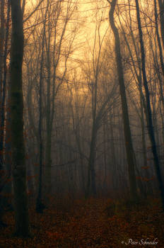 Explore The Best Tenebrous Art Deviantart Explore The Best Tenebrous Art Deviantart