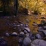 Autumnal stream.