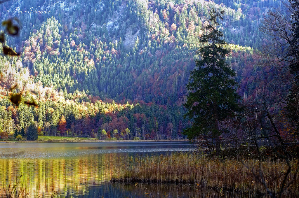 Autumn lake (II).