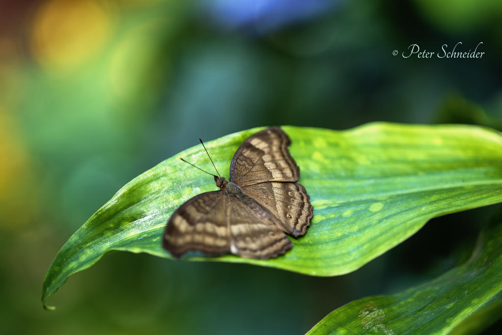 Moment to rest. by Phototubby