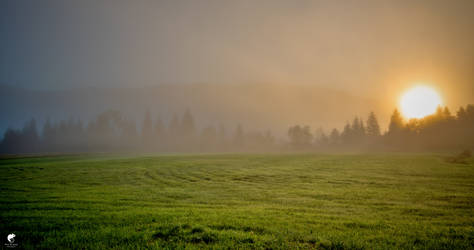 Morning light. by Phototubby