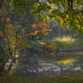 Autumnal lake shore.