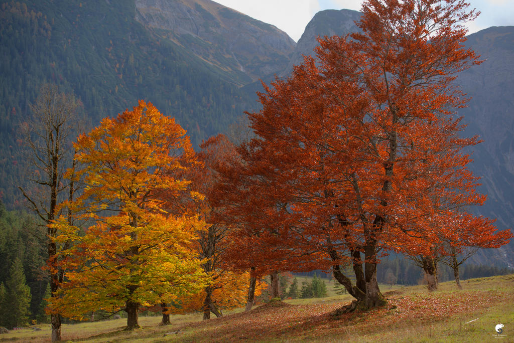 Automn Rest Autumn rest. by Phototubby on DeviantArt