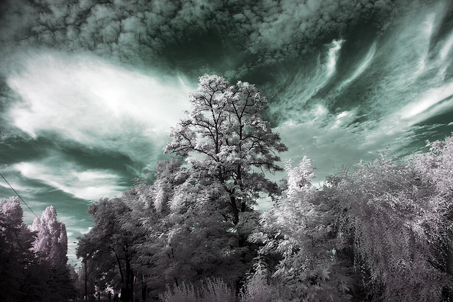 Untitled by Alexandre1950 Untitled by Alexandre1950