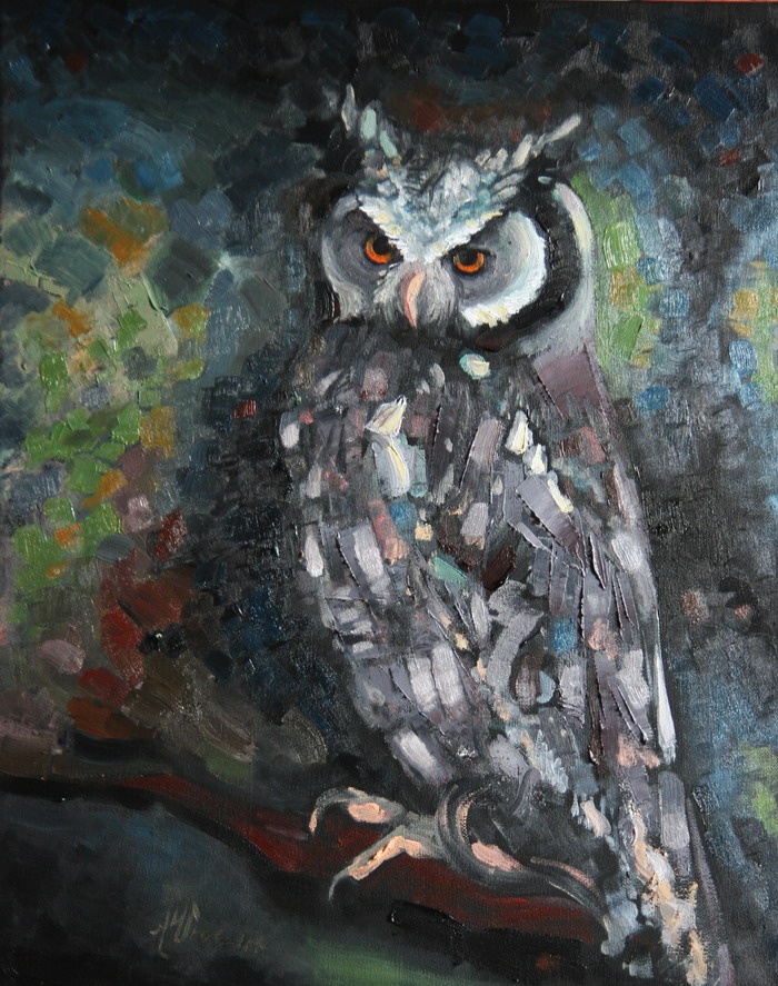 Owl