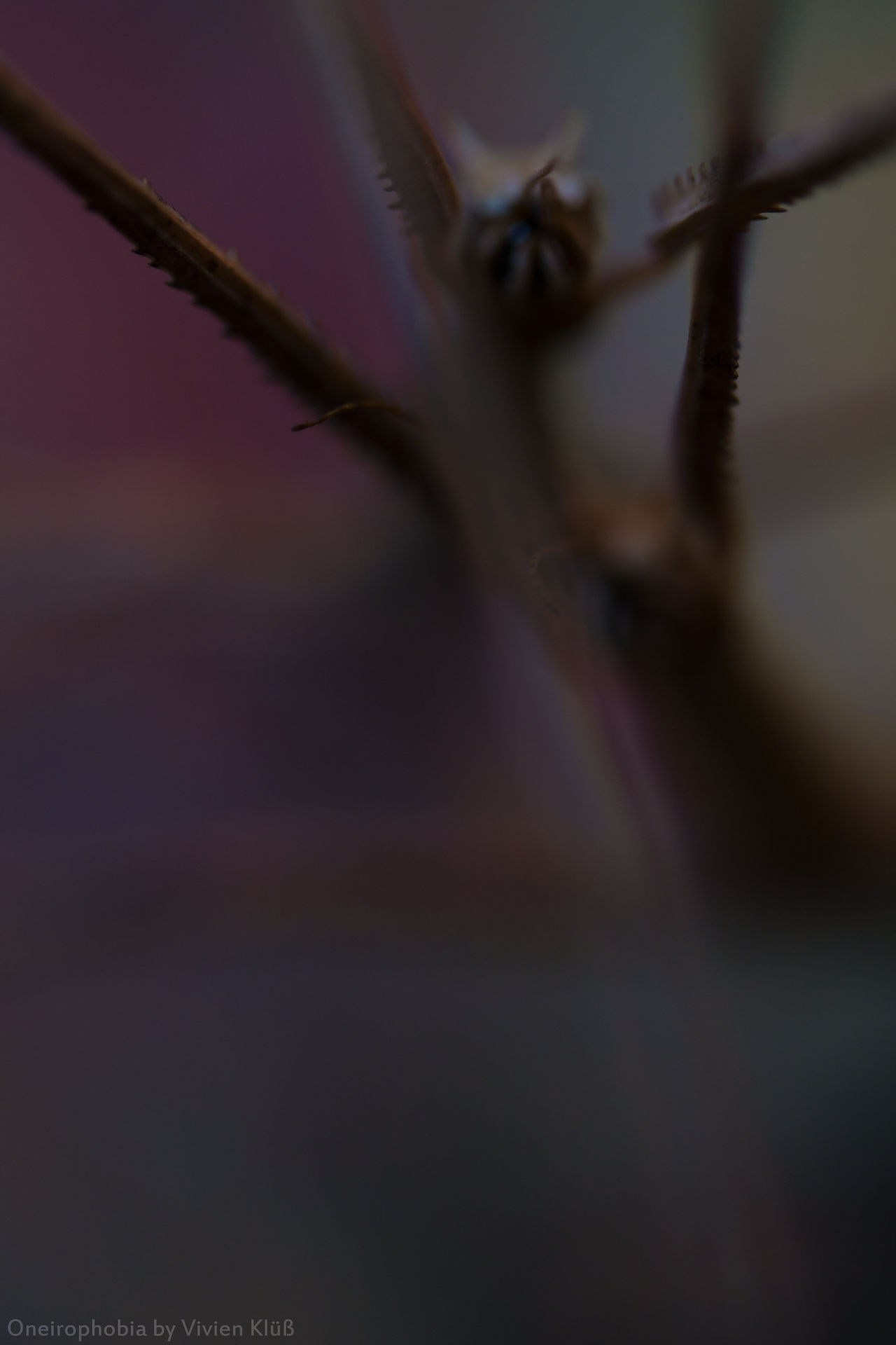 Oneirophobia 1 by DarthInvidia on DeviantArt