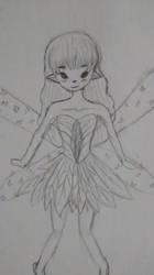 Fairy