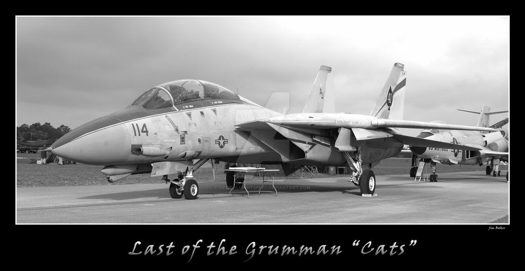 Last of the Grumman 'Cats'