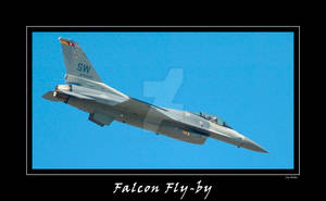 Falcon Fly-by