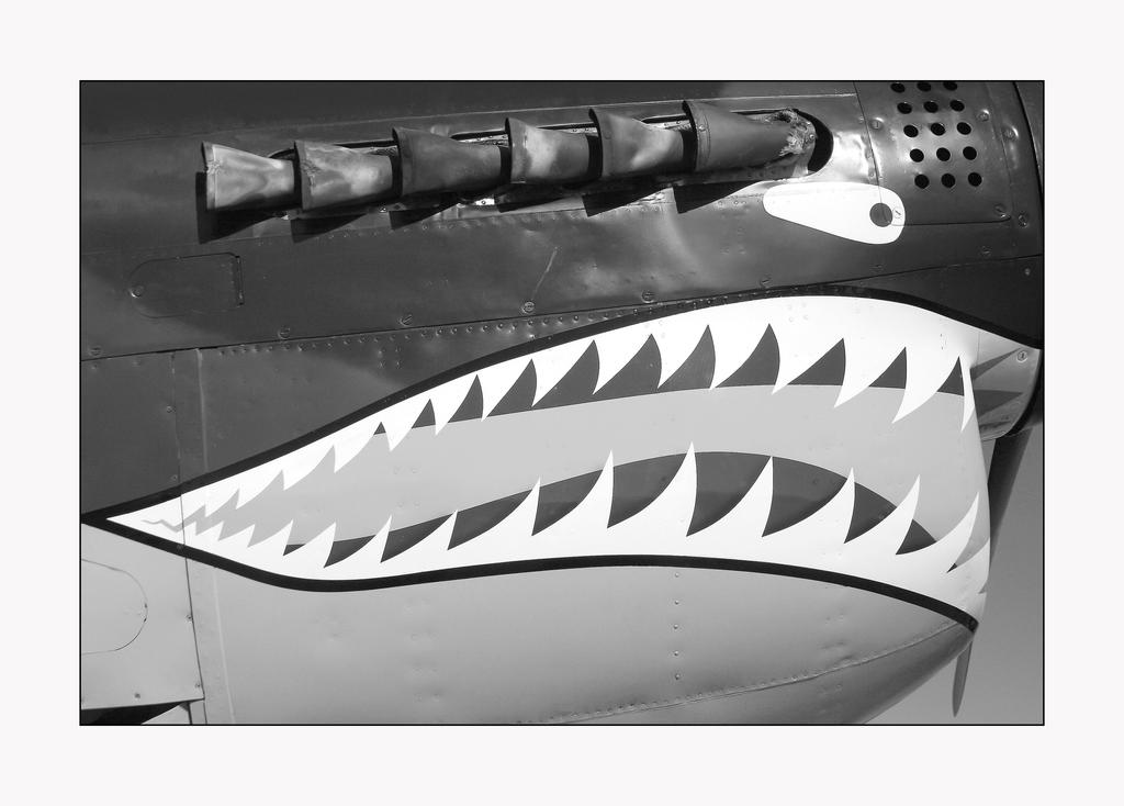 Shark Mouth of the AVG