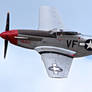Doug Matthew's P-51D