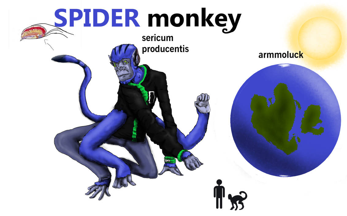 EVOLUÇÃO DO MACACO ARANHA NO BEN 10 ! (Evolution Spider Monkey