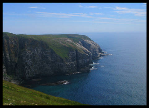 cliffs and birds