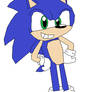 Sonic the Hedgehog