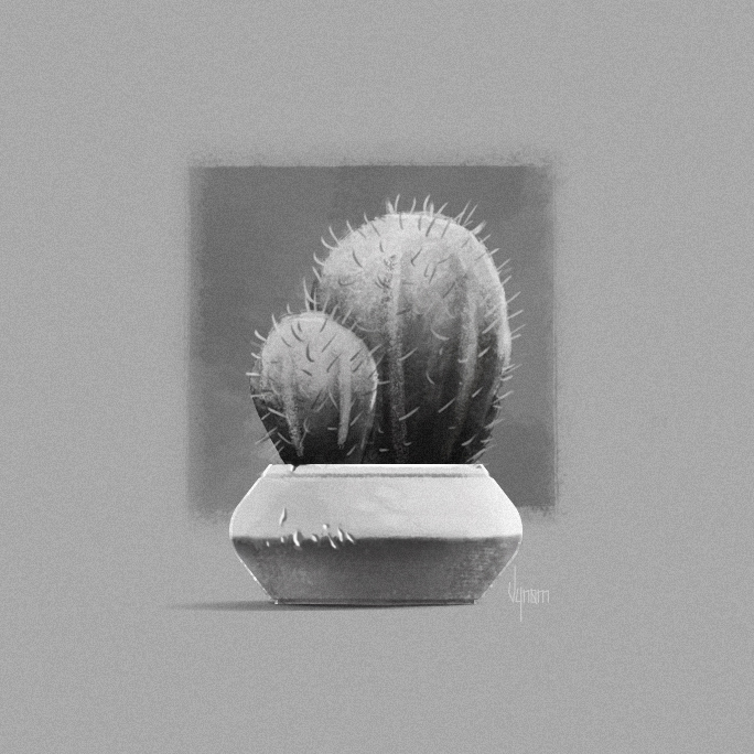 Cactus