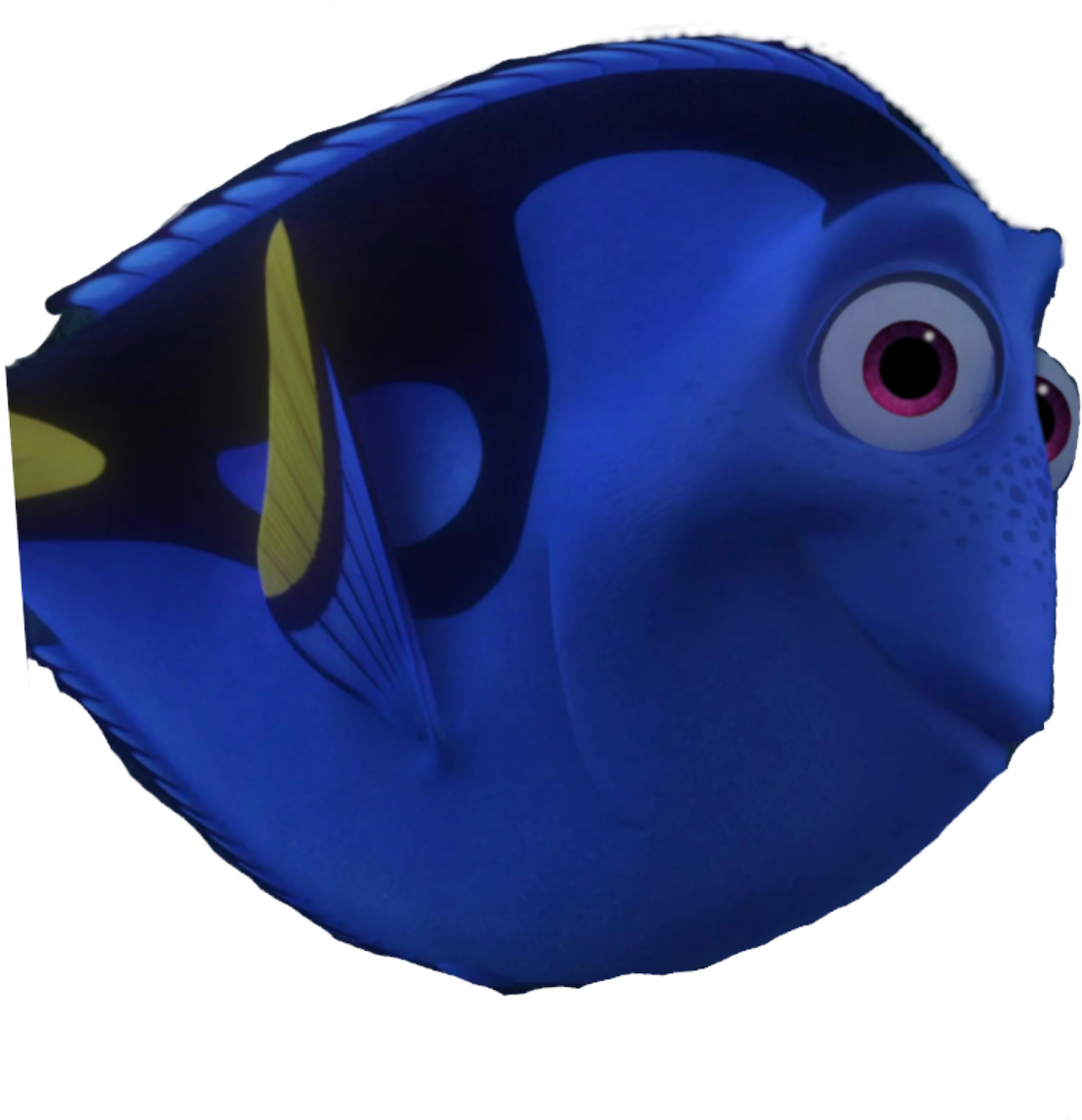 Dory R Dory render by brad090904 on DeviantArt