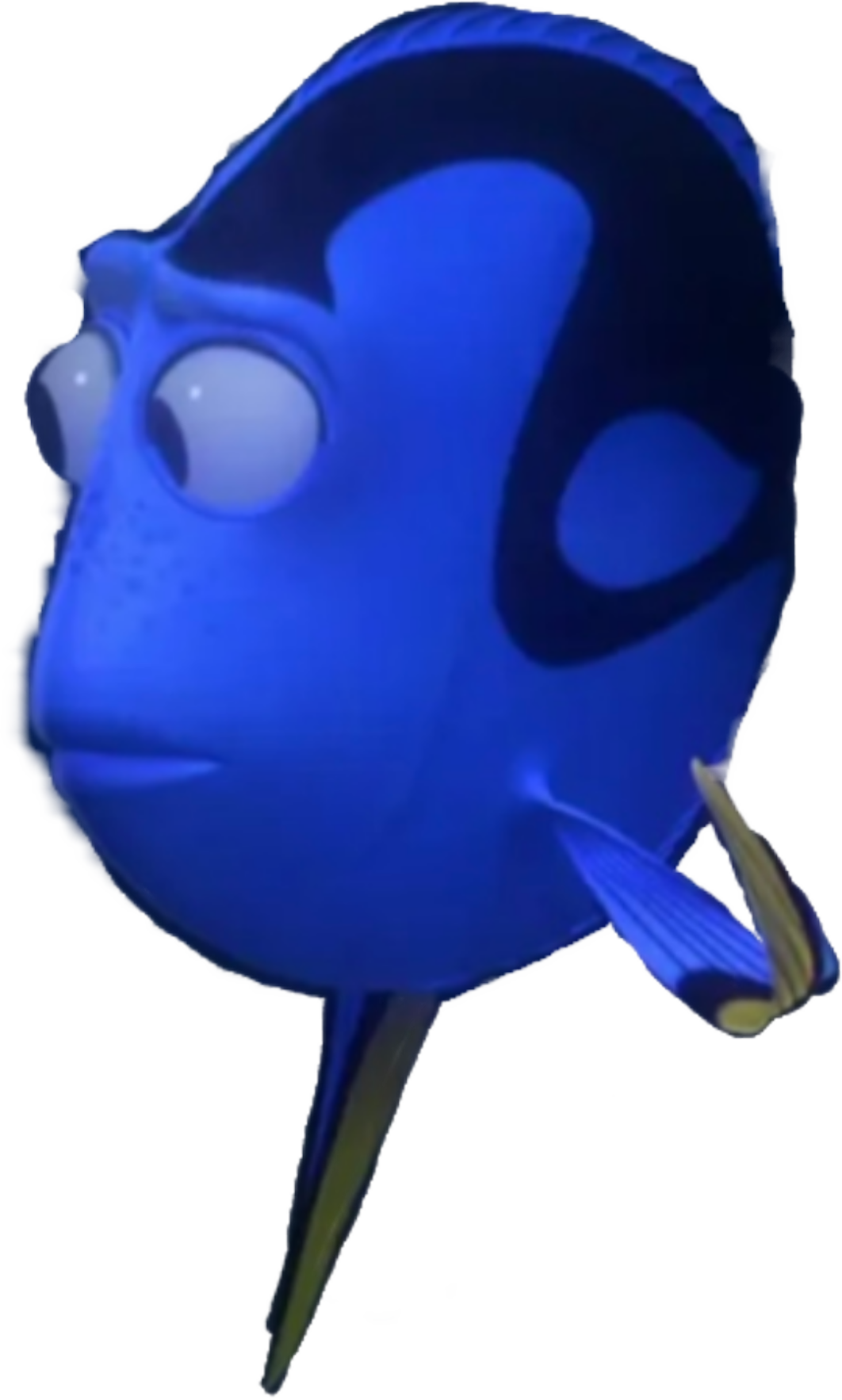 Dory R Dory render by brad090904 on DeviantArt