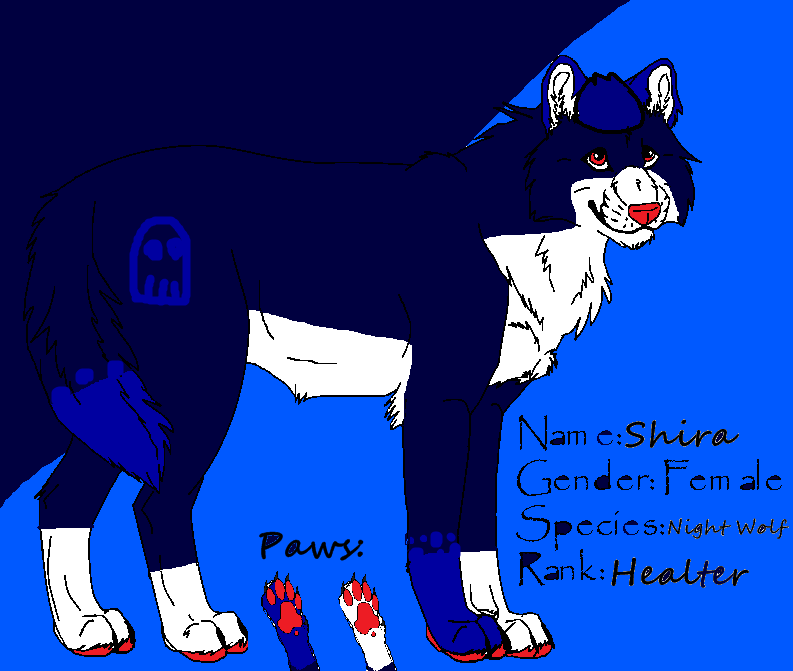 Shira Reference