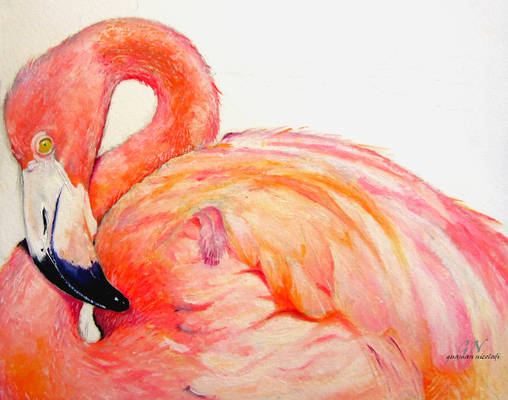 oil Flamingo Andean Flamenco andino