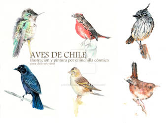 Aves de chile I