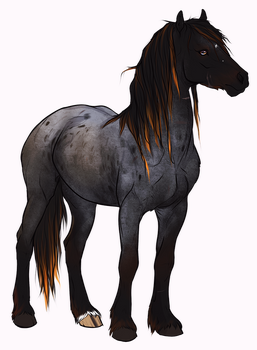 NHRPG | Rebel | Lead Stallion