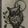 owl moon 2