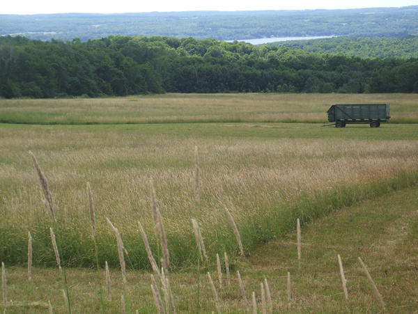 Beloved Field Beautiful Field by marksball on DeviantArt