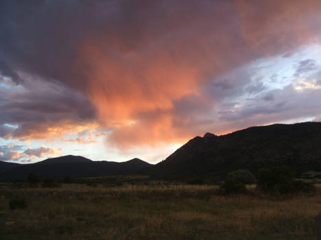 New Mexico Rising