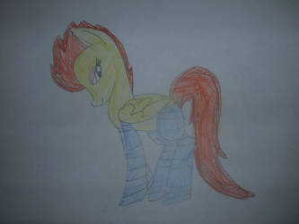 Spitfire in socks.