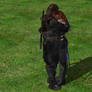 Hayate and Kasumi Hugging :)