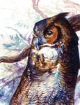 Owl Watercolour by Simkaye