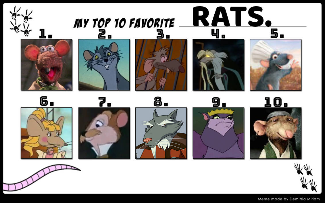 Top 3 Rats catdragon4's Top 10 Favorite Rats. by catdragon4 on DeviantArt
