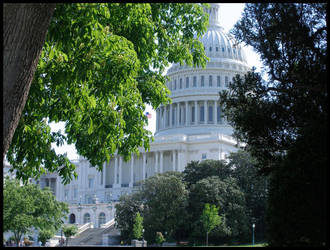 Capitol -- Washington D.C.