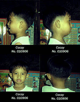 cocoy