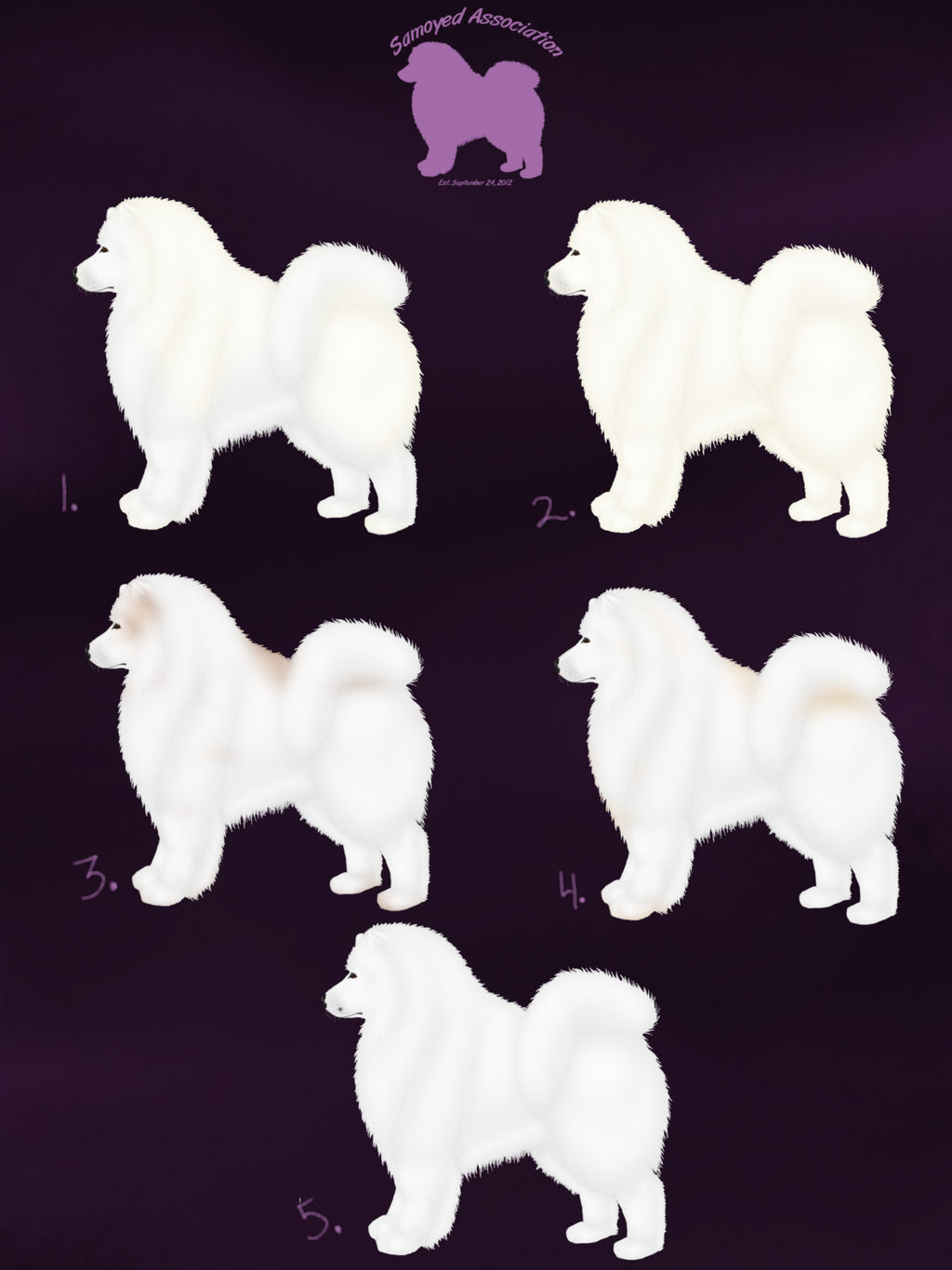 Female Samoyed Imports - CLOSED