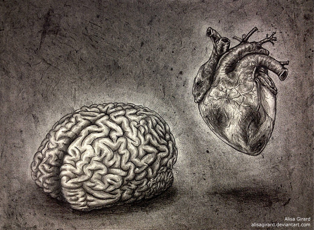 Heart and brain. Мозг рисунок. Мозг или сердце. Мозг и сердце арт.