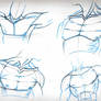 Male: anatomy sketches 1