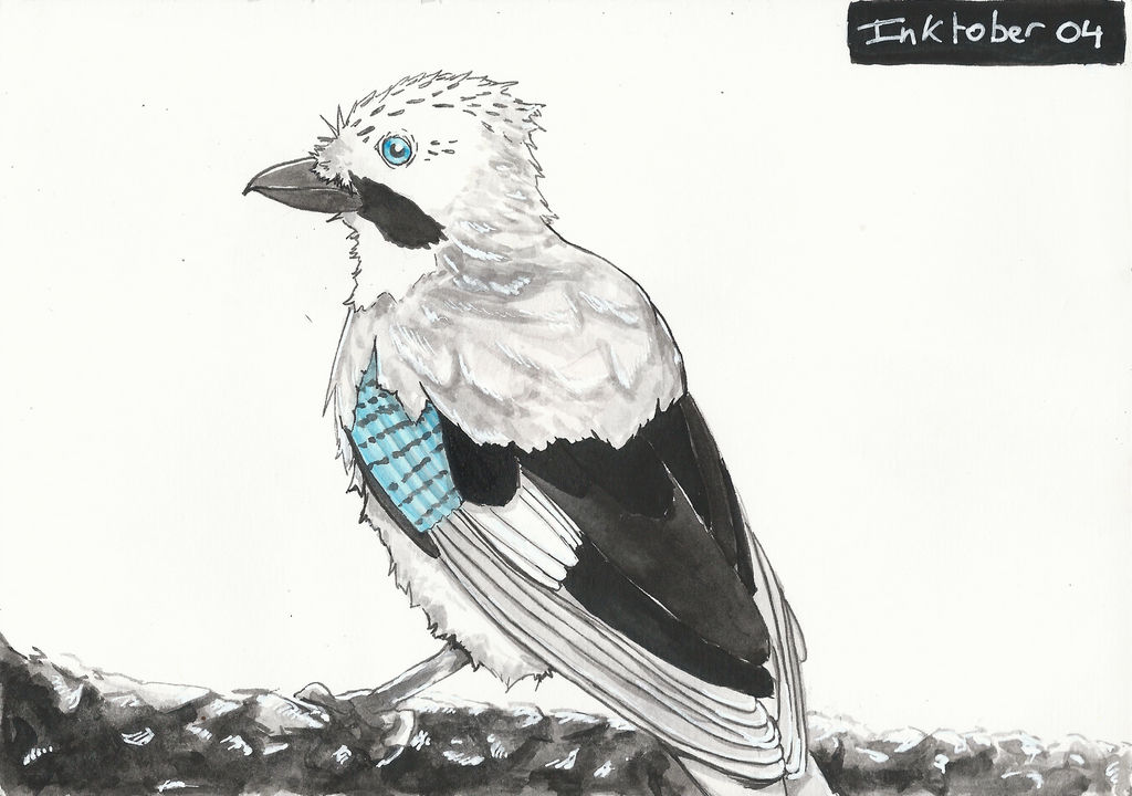 Inktober 04 - Eurasian Jay