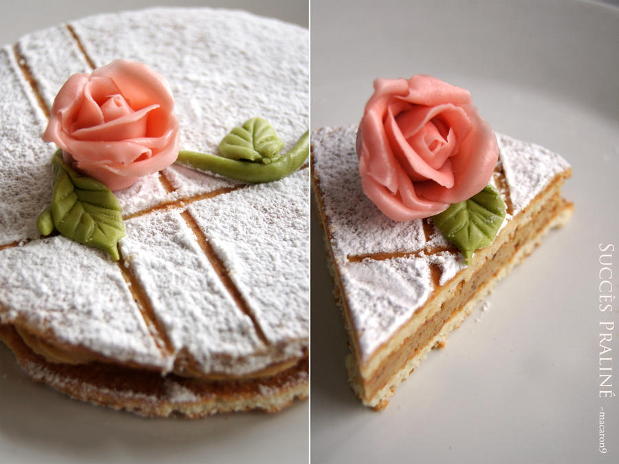 Succes Praline by macaron9 Succes Praline by macaron9