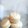 Almond Cream Macarons