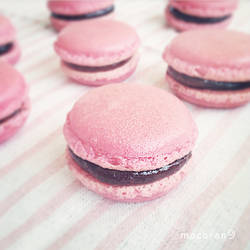 Raspberry Macarons