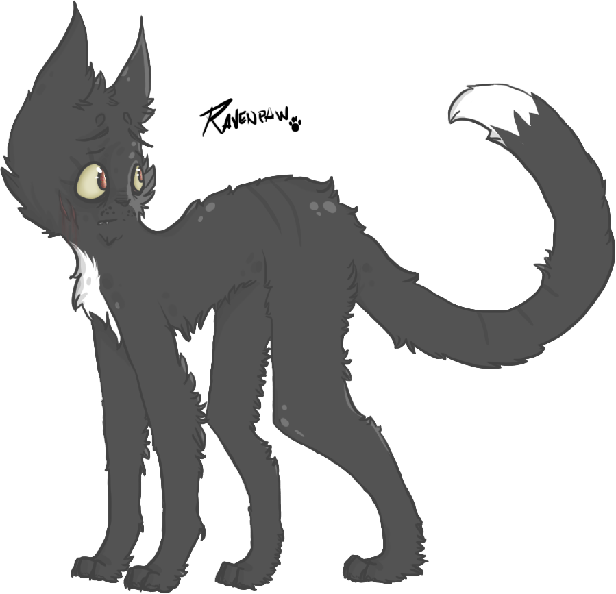 Ravenpaw