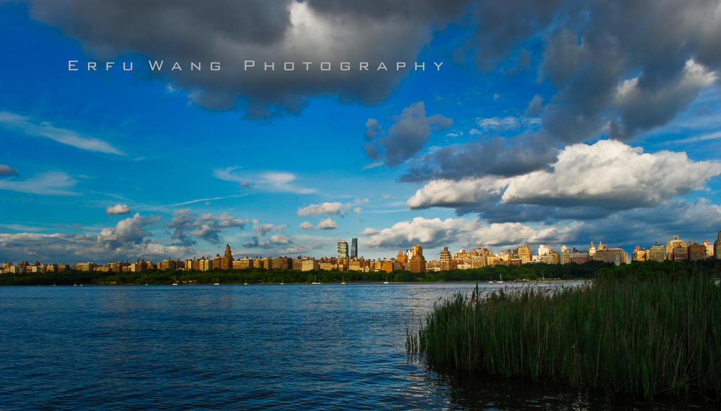 Between the Water and the Sky