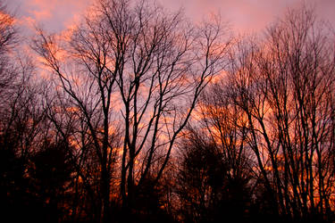 Sunrise out the backdoor