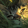 Golden Gaze in the Grass
