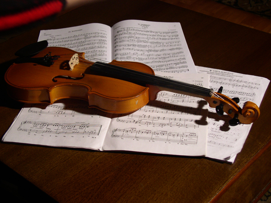 Violin