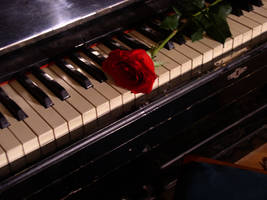 Piano and rose